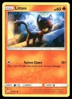 Litten