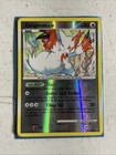 Zangoose