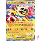 Mega Hawlucha ex