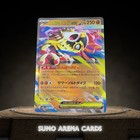 Mega Hawlucha ex