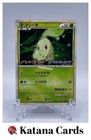 Chikorita 
