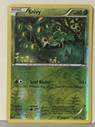 Snivy