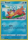 Buizel
