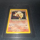 Light Arcanine