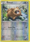 Bidoof