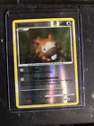 Bidoof