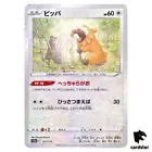 Bidoof