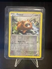 Bidoof