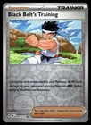 Black Belt's Training