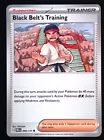 Black Belt's Training
