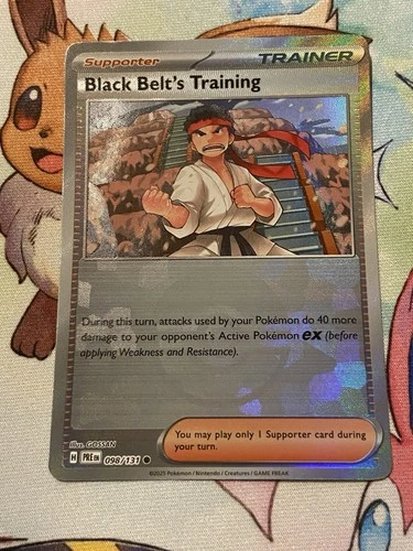 Black Belt's Training