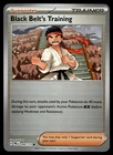 Black Belt's Training