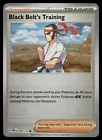 Black Belt's Training