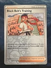 Black Belt's Training