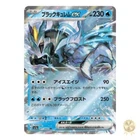 Black Kyurem ex