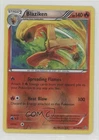 Blaziken
