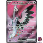 Bombirdier ex