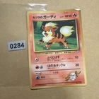 Growlithe