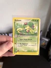 Breloom