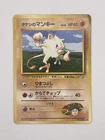 Brock's Mankey