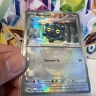 Bronzor