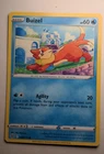 Buizel