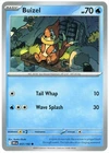 Buizel