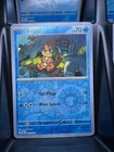 Buizel