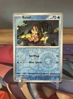Buizel