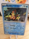 Buizel
