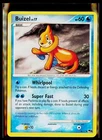 Buizel