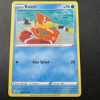 Buizel