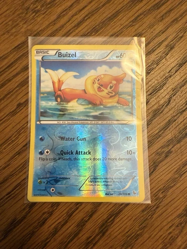 Buizel