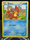 Buizel