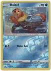 Buizel