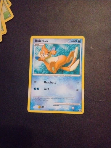 Buizel
