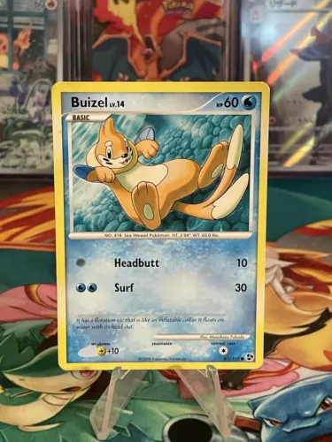 Buizel