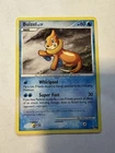 Buizel