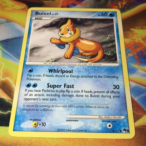 Buizel
