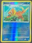 Buizel