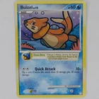Buizel