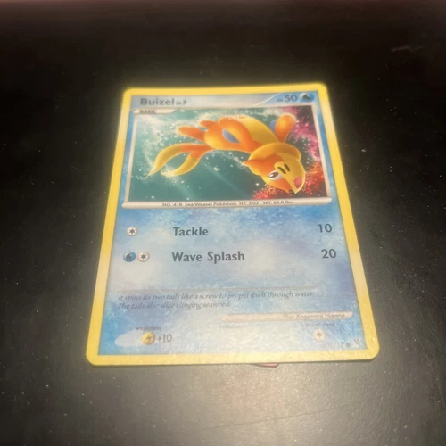 Buizel