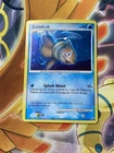 Buizel