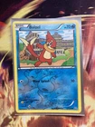 Buizel