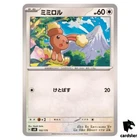 Buizel