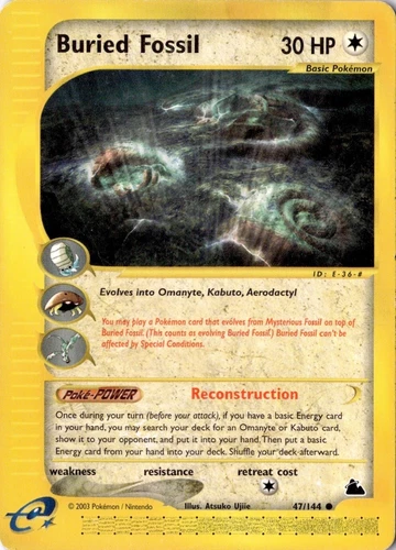 Buried Fossil