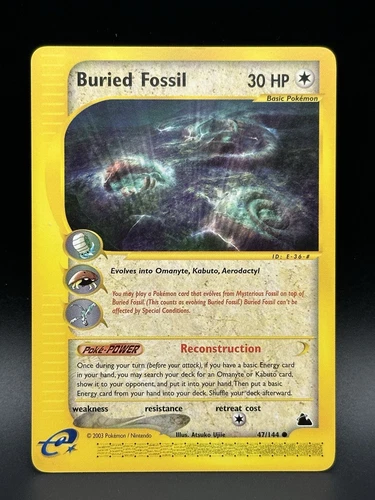 Buried Fossil