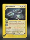 Buried Fossil