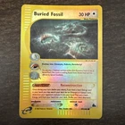 Buried Fossil