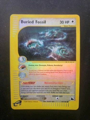 Buried Fossil
